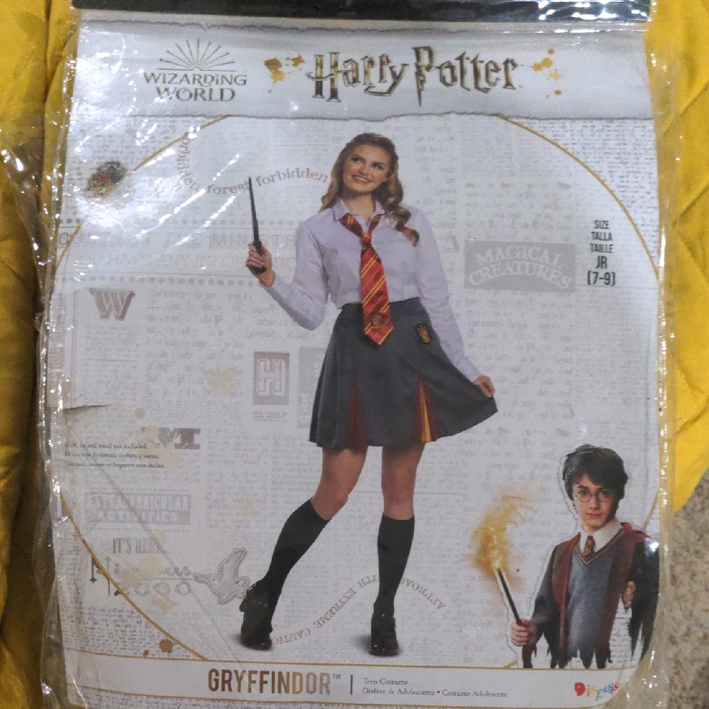 Warner Bros. Harry Potter Gryffindor Costume - White and Gray